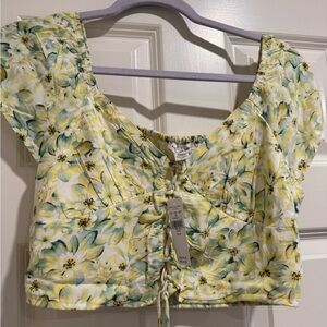 American Eagle Crop Top